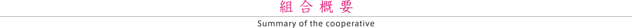 組合概要